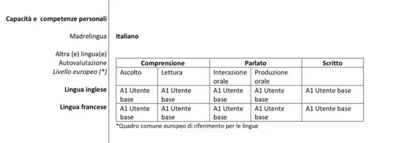 CURRICULUM DI ALESSANDRO GIULI - CONOSCENZA DELLE LINGUE