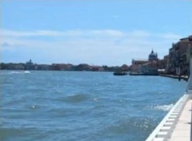 paraspruzzi venezia  