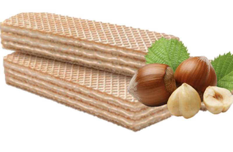 wafer 1