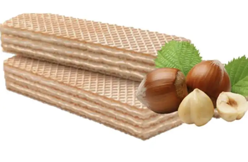 wafer   1