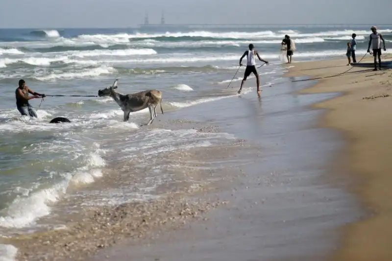 IMMAGINI DELLA SETTIMANA DAL AL SETTEMBRE DAL TIME PALESTINESE TRASCINA ASINO IN MARE PER UN BAGNO A GAZA 