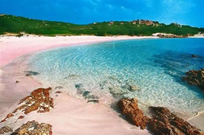 ISOLA DI BUDELLI LA SPIAGGIA ROSA 