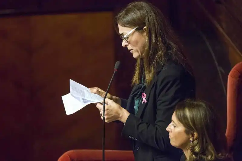 PAOLA DE PIN IN SENATO 