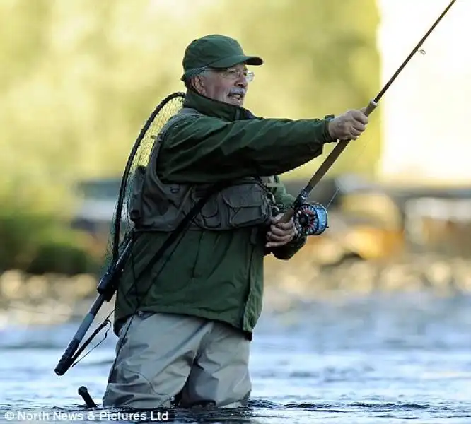 SALMONI NEL FIUME TYNE IN INGHILTERRA 