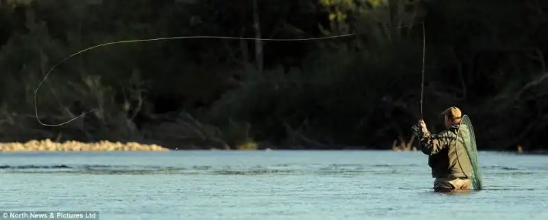 SALMONI NEL FIUME TYNE IN INGHILTERRA 