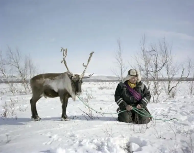 Un Sami con una renna 