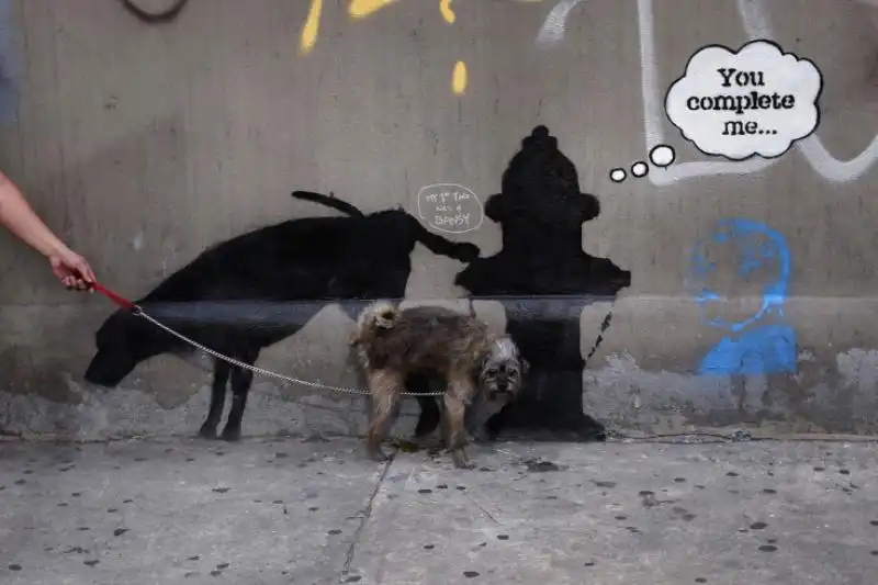 NEW YORK CANE URINA SUL GRAFFITO DI BANKSY 