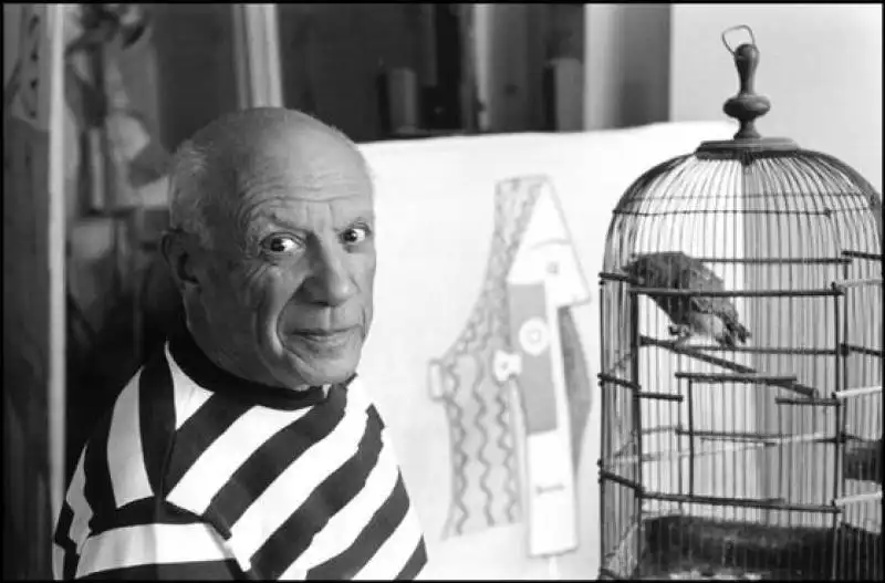 picasso    rene?? burri  par43759