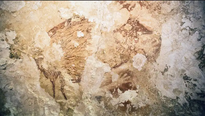 arte rupestre nelle grotte di sulawesi