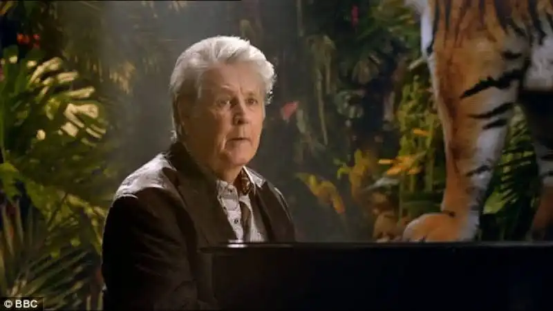 brian wilson dei beach boys