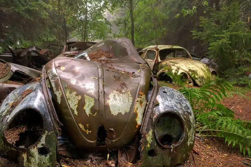 cimitero auto foresta belga 004