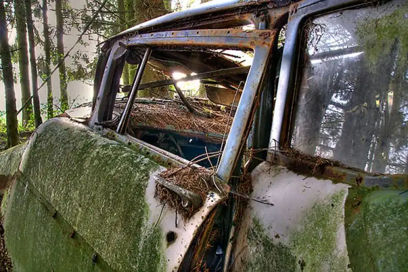 cimitero auto foresta belga 006