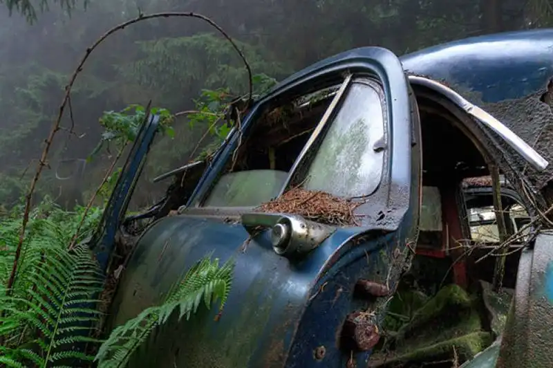 cimitero auto foresta belga 009