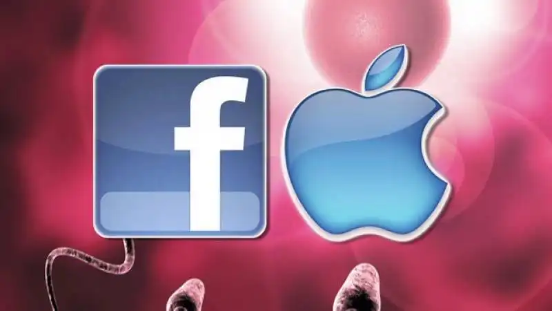 facebook apple congelamento ovuli 