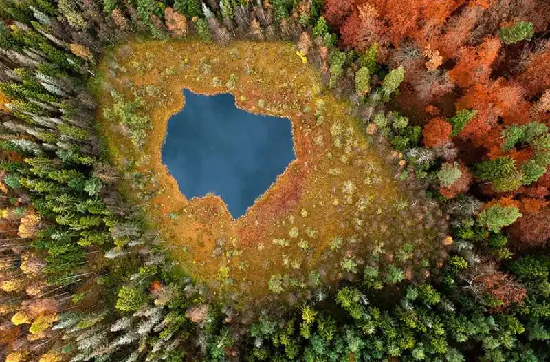 forest lake in poland1