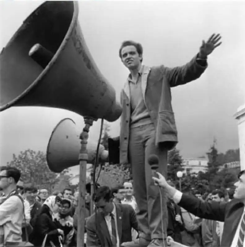 free  speech  movement  berkeley       