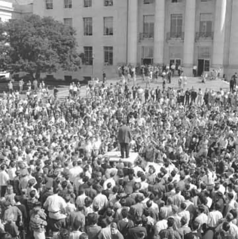 free  speech  movement  berkeley     