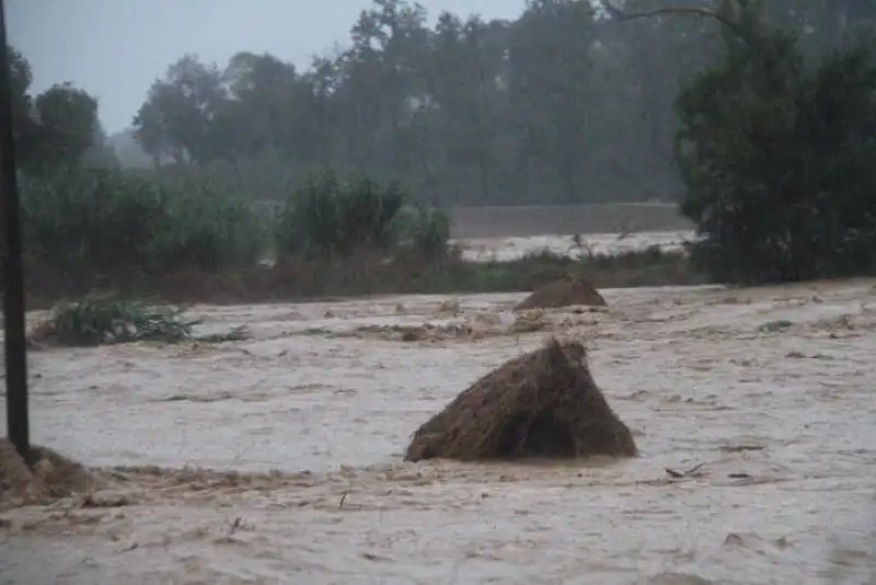 maremma sott'acqua 3