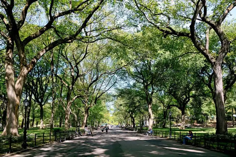 poet’s walk, central park, new york, usa