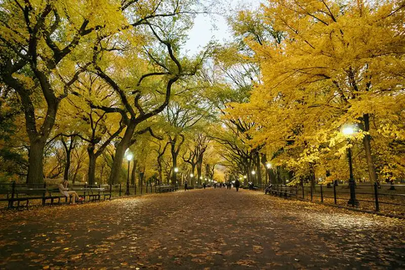 poet’s walk, central park, new york, usa1