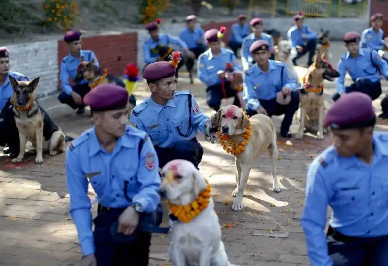 scuola di addestramento canino in nepal