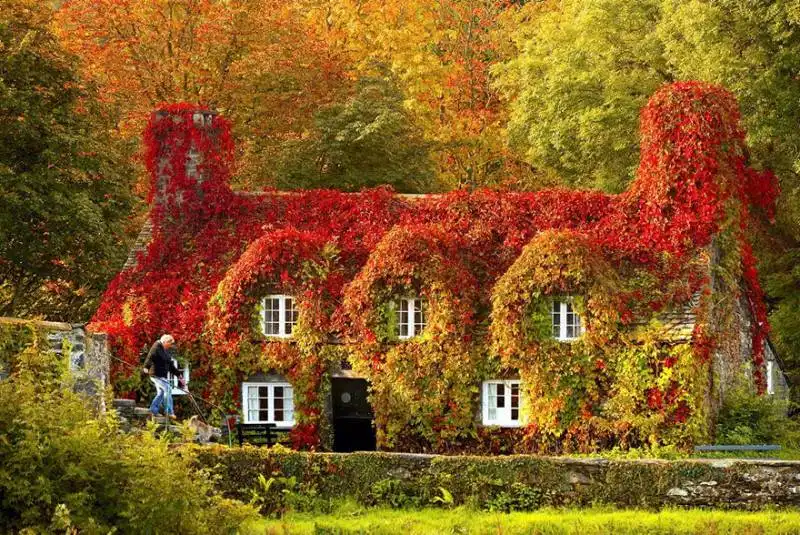 tu hwnt i'r bont tearoom in llanrwst, galles del nord1