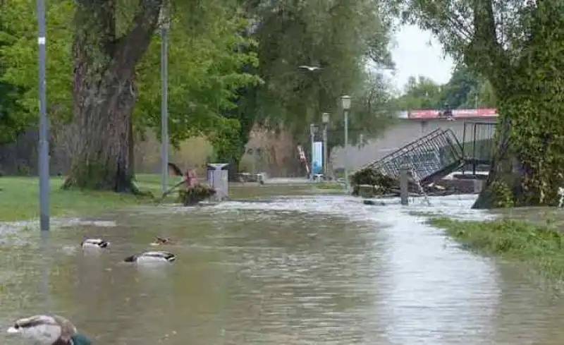 ALLUVIONE COSTA AZZURRA