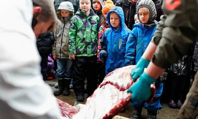 bambini con i  genitori che osservano un pezzo di leone sezionato