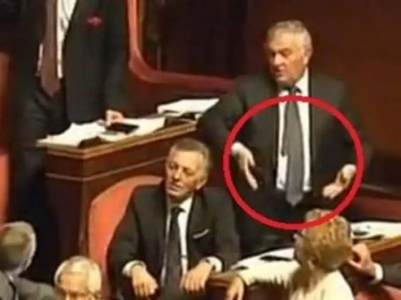 BARANI GESTO IN SENATO