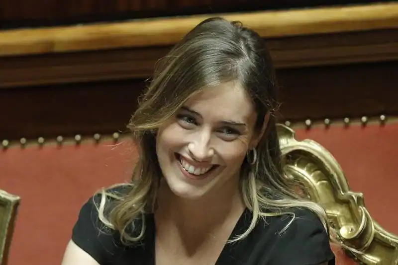 BOSCHI SENATO