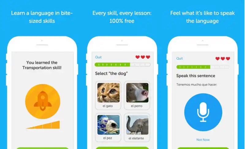 duolingo imparare una lingua