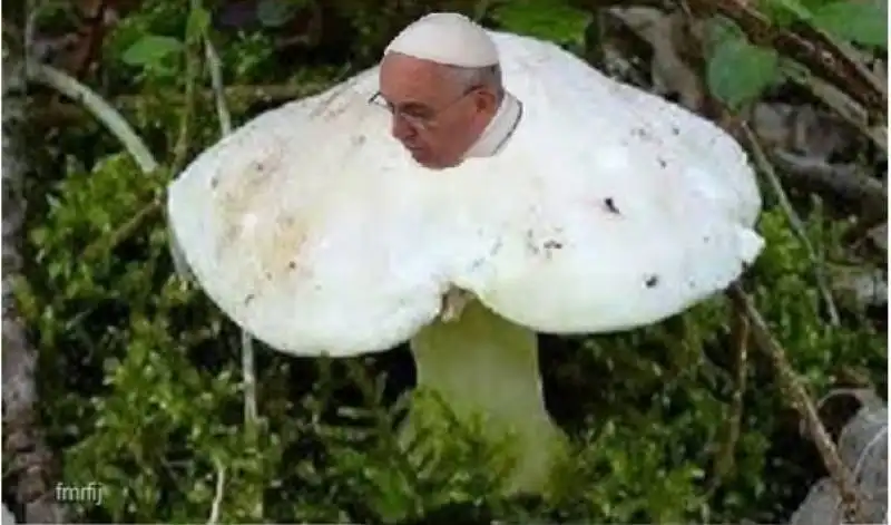 fungo bergoglio