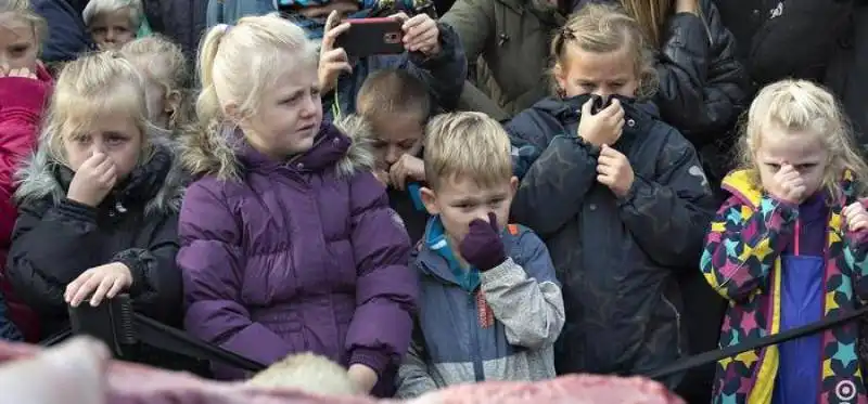 leonessa sezionata davanti ai bambini allo zoo di odense