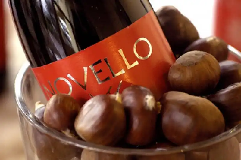 NOVELLO CASTAGNE