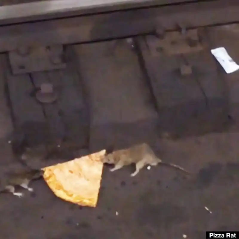 pizza rat 1