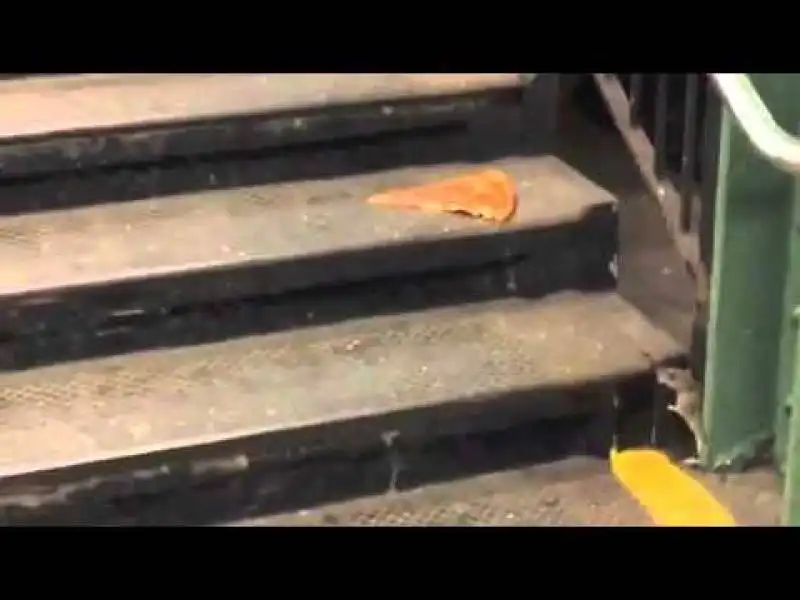 pizza rat 2