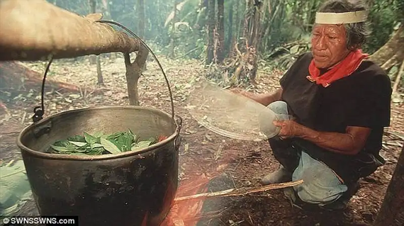 preparazione ayahuasca