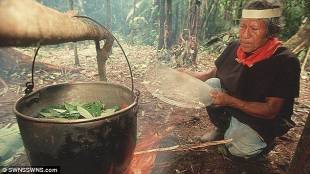 preparazione ayahuasca