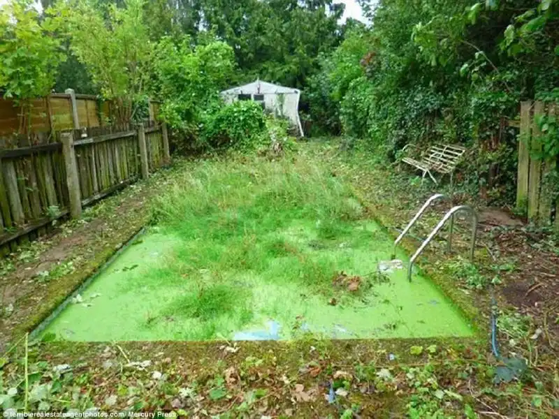 una piscina immersa nel verde