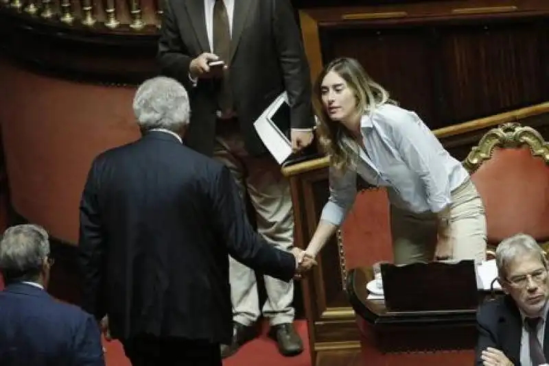 VERDINI BOSCHI