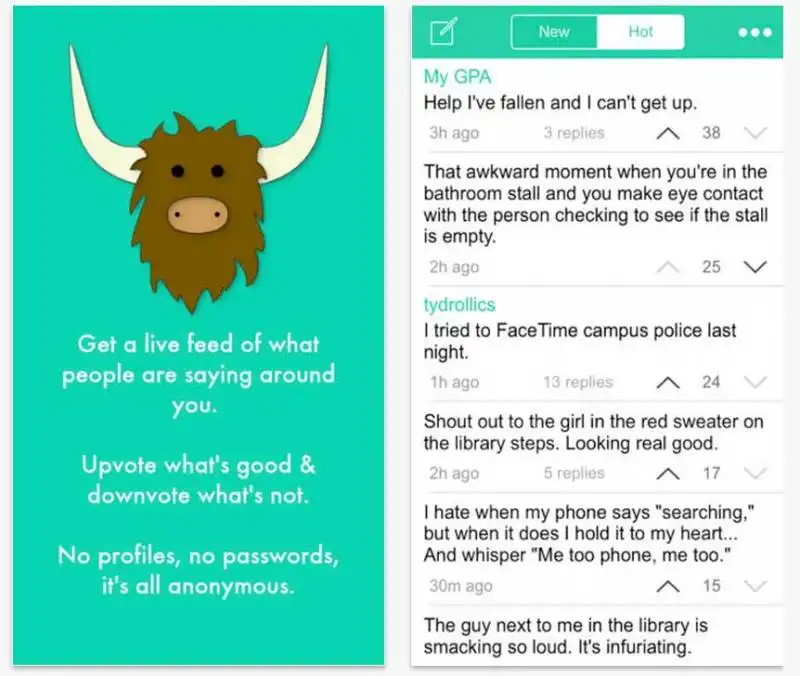 yik yak fa forte nei college