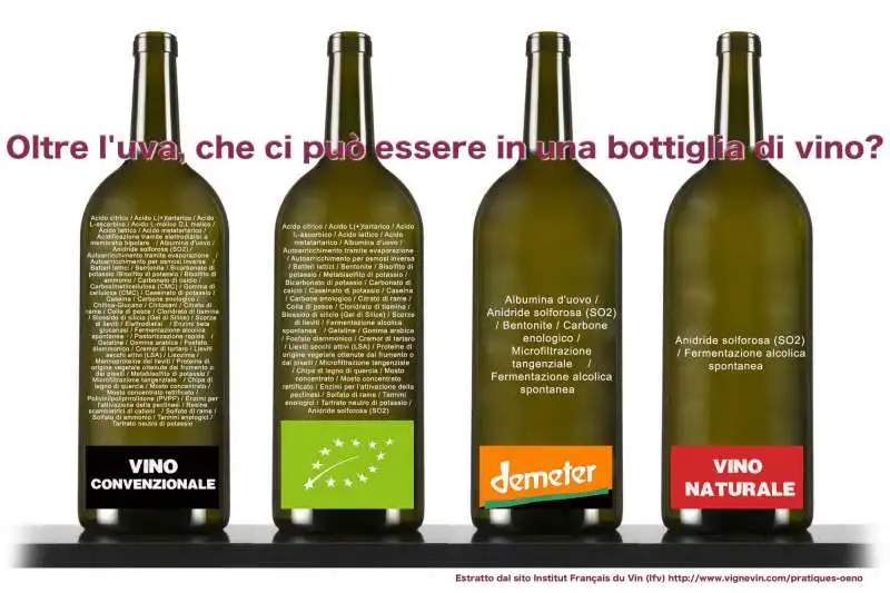 bottiglie del vino ingredienti