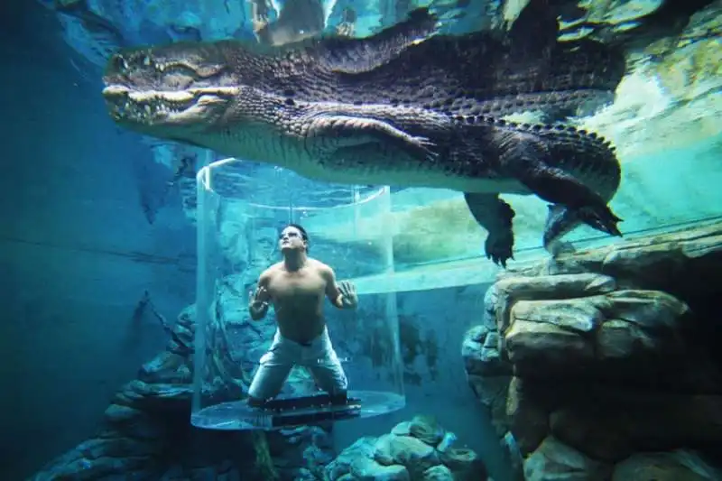 Crocosaurus Cove in Australia     