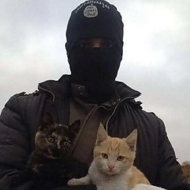 GATTI ISIS