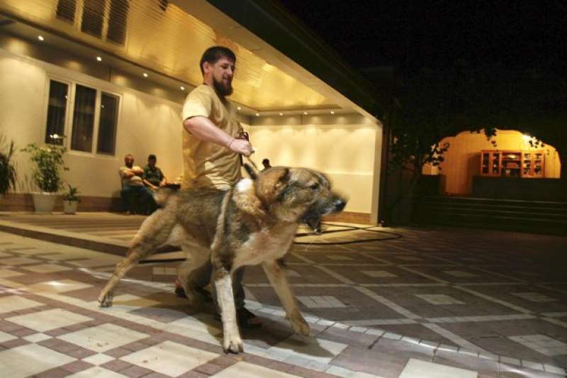 kadyrov e il cane