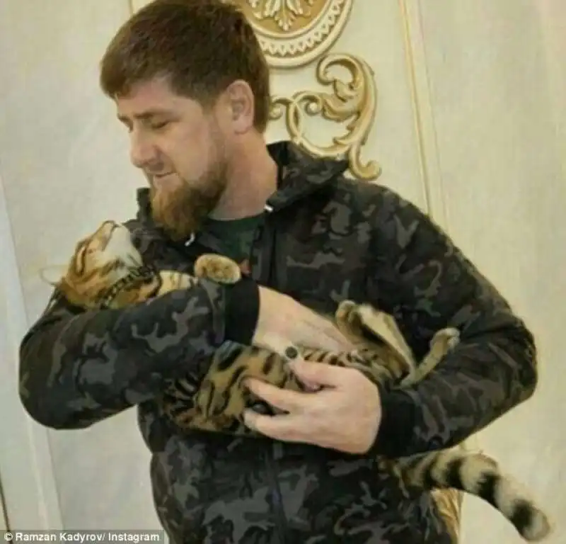 kadyrov  gattone