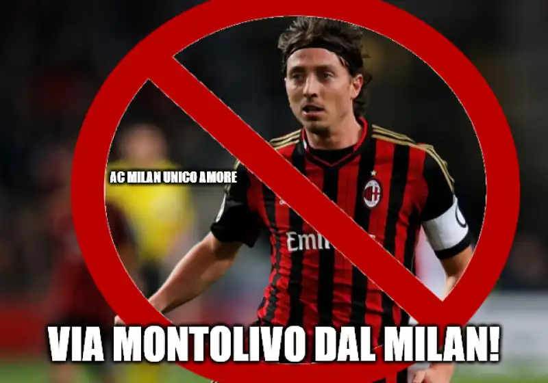 MONTOLIVO 4