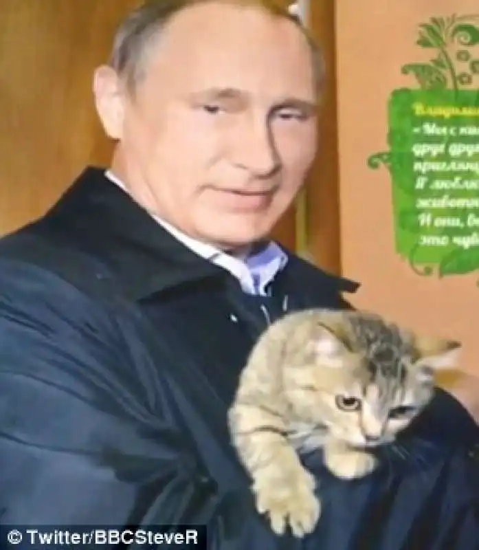 putin e il gattino