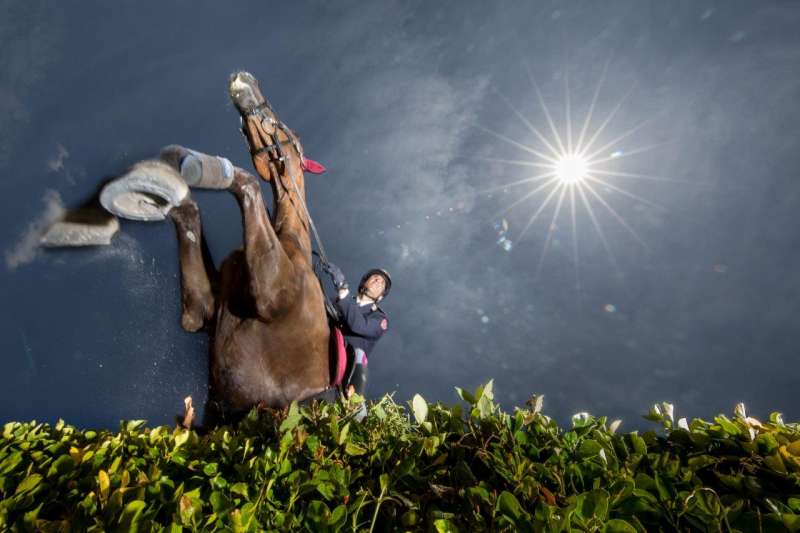 roma agente della polizia a cavallo salta un ostacolo