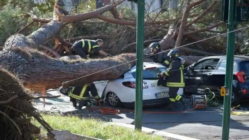 albero autovettura roma